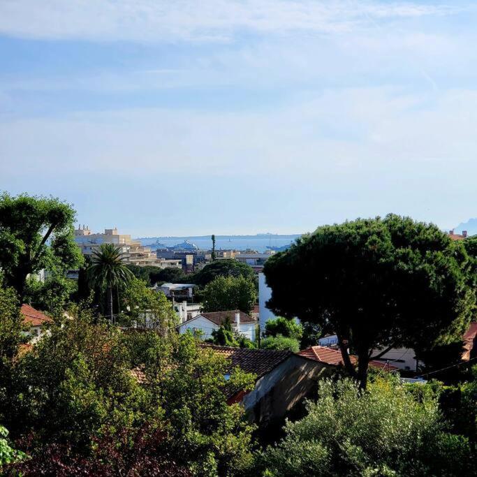 Grand Studio Localisation Ideale Antibes Exterior foto